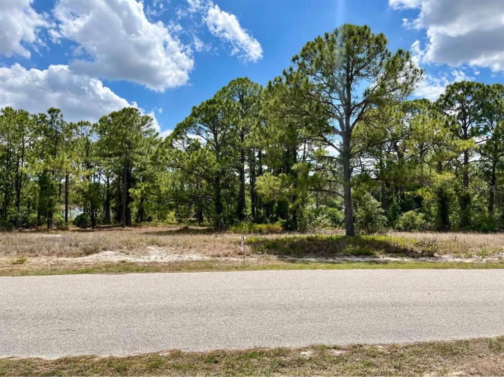 A vacant, wooded lot sits behind a paved road under a blue sky — 668 LAKE TINA DRIVE, LAKE PLACID, FL