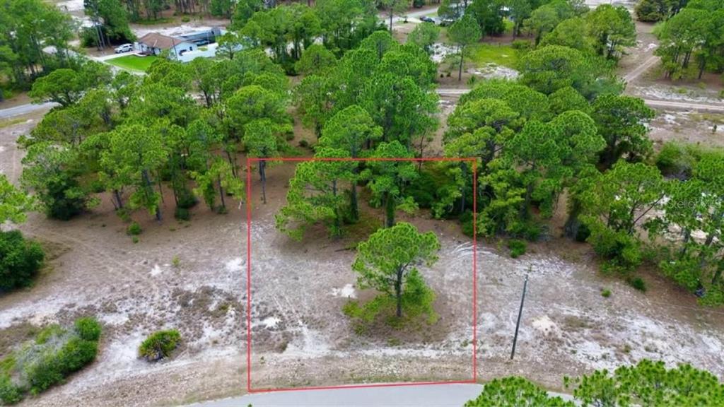 An aerial view shows a rectangular plot of land marked by a red outline — 668 LAKE TINA DRIVE, LAKE PLACID, FL