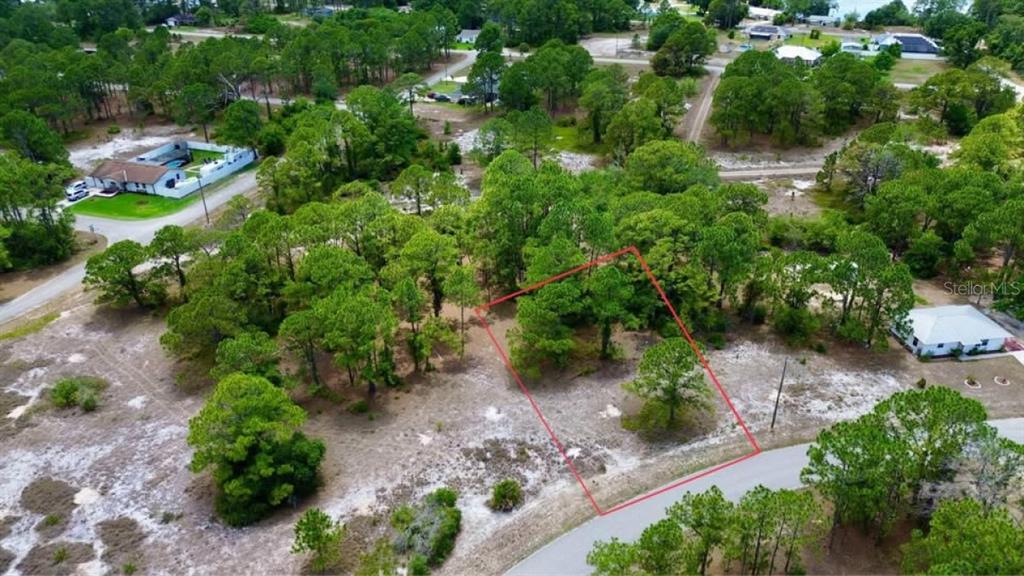 An aerial view shows a vacant, wooded residential lot outlined in red along a paved road — 668 LAKE TINA DRIVE, LAKE PLACID, FL