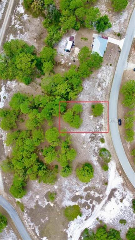 An aerial view shows a rectangular plot of land outlined in red near a paved road — 668 LAKE TINA DRIVE, LAKE PLACID, FL