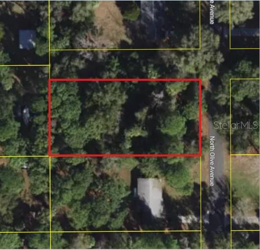 This is an aerial map showing a vacant, tree-covered lot outlined in red — 3408 N OLIVE AVENUE, CRYSTAL RIVER, FL