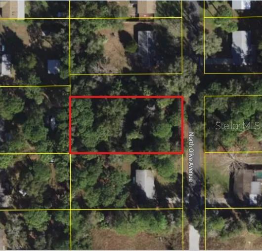 This is an aerial map view showing a rectangular plot of land outlined in red — 3408 N OLIVE AVENUE, CRYSTAL RIVER, FL