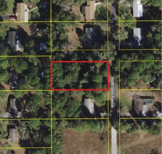 This aerial map shows a vacant, wooded lot outlined in red along a residential street — 3408 N OLIVE AVENUE, CRYSTAL RIVER, FL