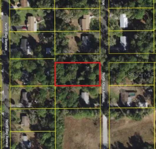 This is an aerial map view showing a vacant, tree-covered lot outlined in red — 3408 N OLIVE AVENUE, CRYSTAL RIVER, FL