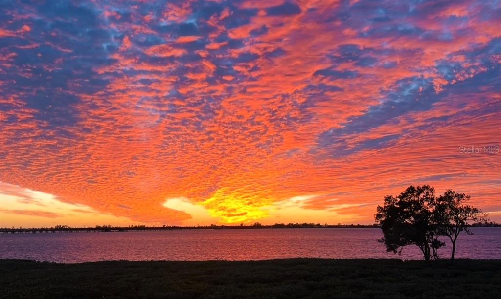 A vibrant sunset glows over a body of water with a tree in the foreground — 332 HARBOUR SOUND COURT, BRADENTON, FL