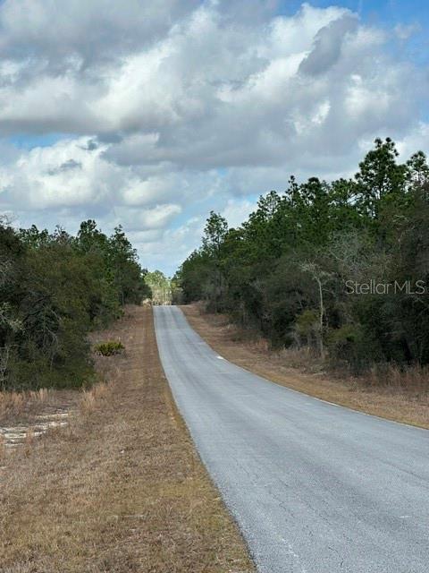 A paved road stretches into the distance through a wooded area under a cloudy sky — 00 SE 134TH TERRACE, DUNNELLON, FL