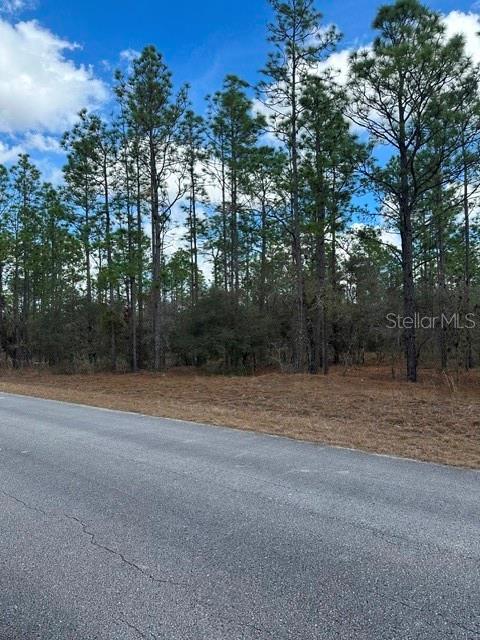 A paved road runs in front of a wooded lot with tall pine trees — 00 SE 134TH TERRACE, DUNNELLON, FL