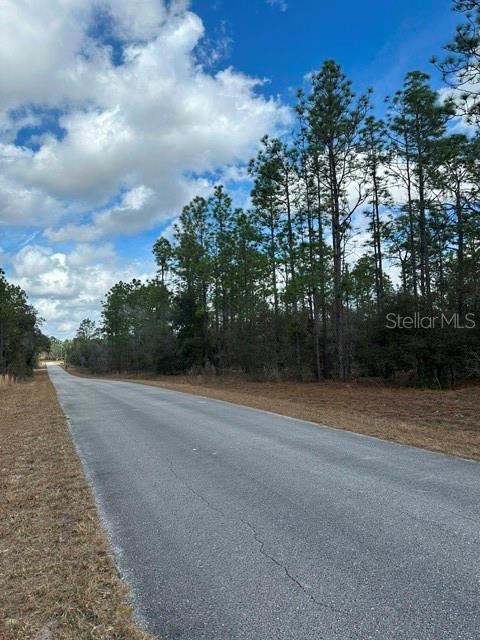 A paved road stretches past a wooded area under a blue sky with clouds — 00 SE 134TH TERRACE, DUNNELLON, FL