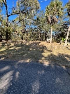 1204 DAVIES ROAD, BRANDON, FL — photo 2 of 4