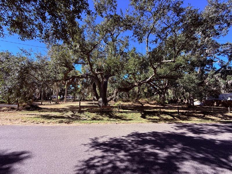 1204 DAVIES ROAD, BRANDON, FL — photo 3 of 4