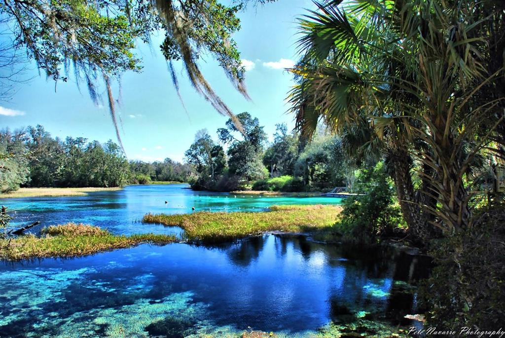 A scenic view of a vibrant blue natural spring surrounded by lush trees and vegetation — 699 W HALLAM, DUNNELLON, FL