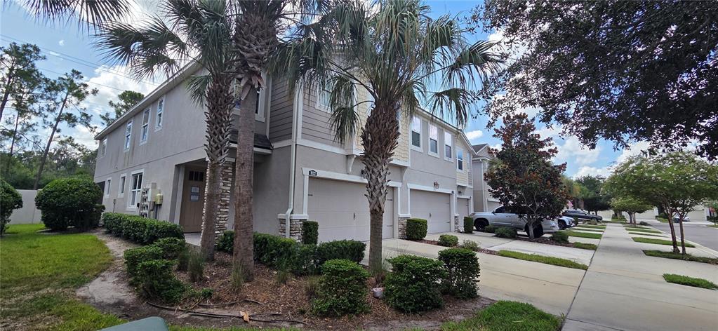 A multi-story townhouse exterior with beige siding, palm trees, and a row of garage doors — 10322 HOLSTEIN EDGE PLACE, RIVERVIEW, FL
