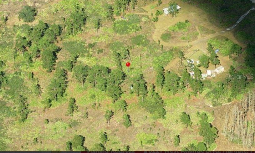 HOLOPAW GROVES ROAD, ST CLOUD, FL — photo 2 of 4