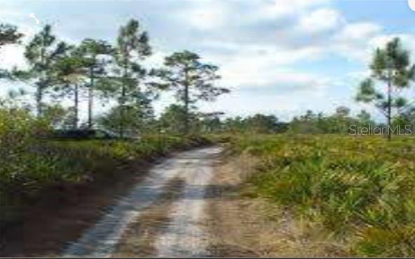 HOLOPAW GROVES ROAD, ST CLOUD, FL — photo 3 of 4