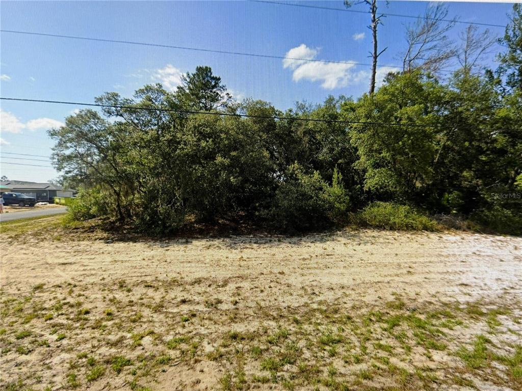 A vacant, sandy lot is covered with dense trees and shrubs under a blue sky — LOT 10 SW 27TH TERRACE ROAD, OCALA, FL