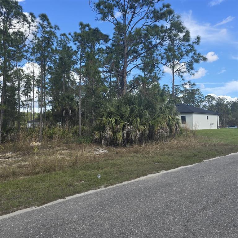 A vacant, wooded residential lot sits next to a modern white house — 2603 E 13TH STREET, LEHIGH ACRES, FL