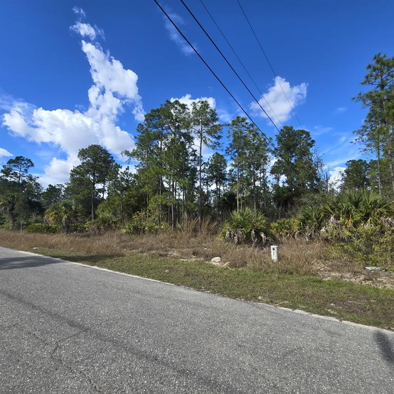 A vacant, wooded lot with tall pine trees and palmettos borders a paved road — 2603 E 13TH STREET, LEHIGH ACRES, FL