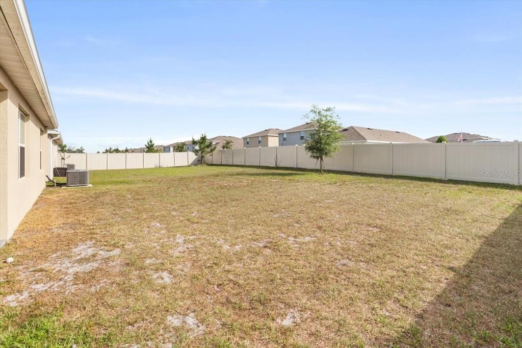 A large, fenced-in backyard with dry grass and a single small tree — 35830 ELLSWORTH PLACE, ZEPHYRHILLS, FL