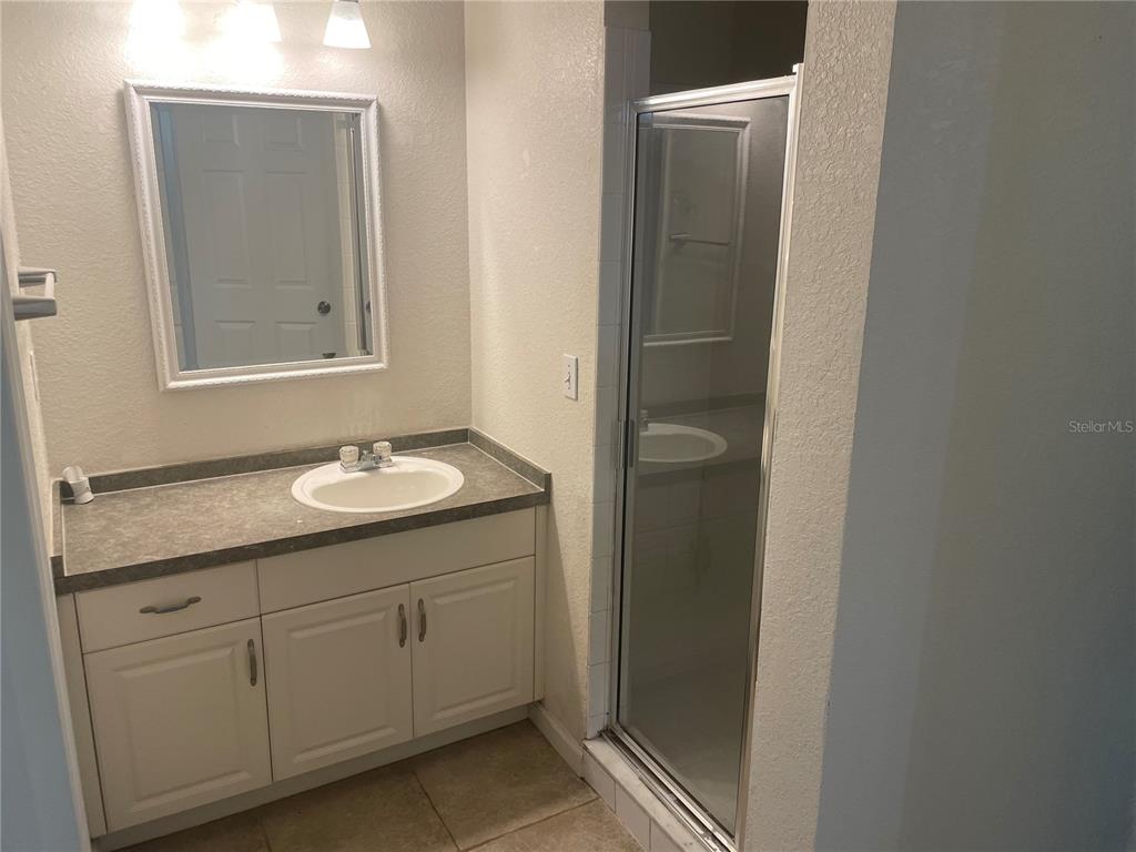 A bathroom features a white vanity with a gray countertop, a mirror, and a shower stall — 6233 ASHBURY PALMS DRIVE, TAMPA, FL