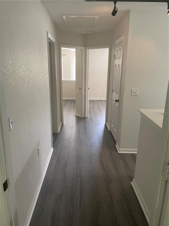 A hallway with gray wood-look flooring leads to two doorways and a white closet door — 6233 ASHBURY PALMS DRIVE, TAMPA, FL