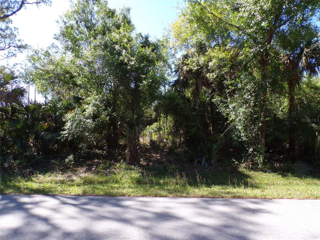 A wooded, undeveloped residential lot is viewed from the edge of a paved road — 26203 CUSTER ROAD, PUNTA GORDA, FL