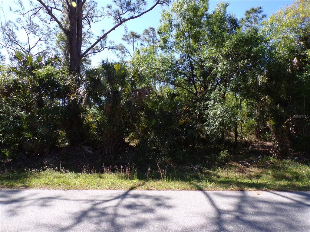 A view of a wooded, undeveloped residential lot from an adjacent paved road — 26203 CUSTER ROAD, PUNTA GORDA, FL