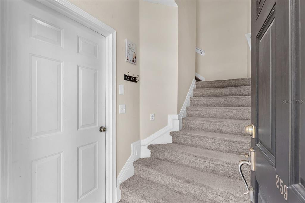 An entryway features a carpeted staircase, a white door, and a wall-mounted coat rack — 7001 INTERBAY BOULEVARD UNIT 259, TAMPA, FL