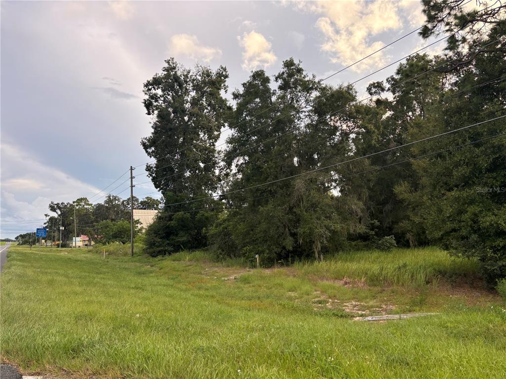 US HWY 301, BELLEVIEW, FL — photo 4 of 7