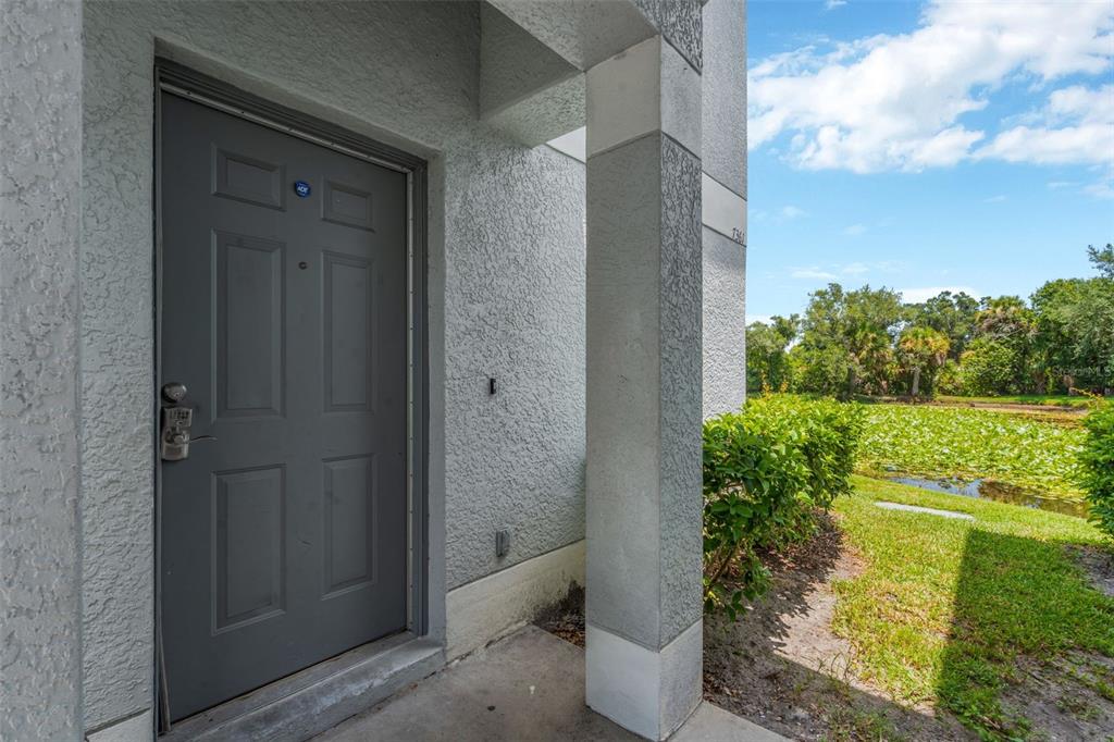A gray front door is set into a stucco exterior wall next to a pond — 7361 E BANK DRIVE, TAMPA, FL
