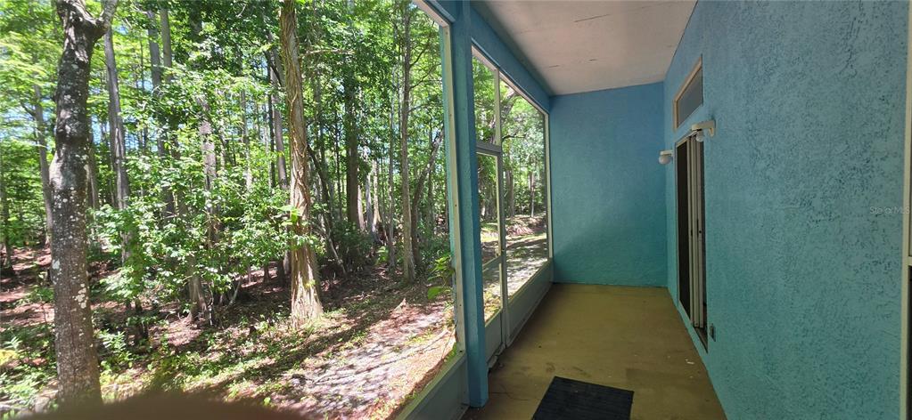 A screened-in porch with blue stucco walls overlooks a wooded area — 12519 HOLLYBROOK LANE, HUDSON, FL