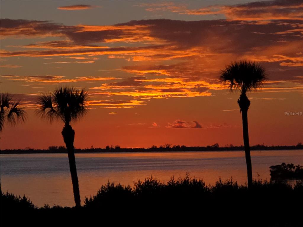 A vibrant sunset glows over a calm body of water framed by silhouetted palm trees — 3440 WILD OAK BAY BOULEVARD UNIT 127, BRADENTON, FL
