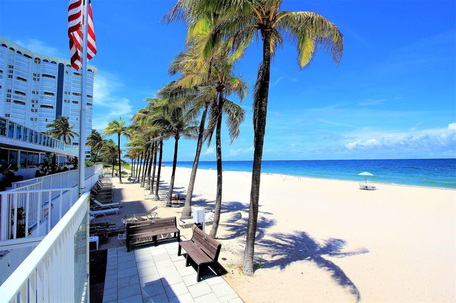 A row of palm trees lines a sandy beach next to a white hotel building — 1360 S Ocean Boulevard # 2806, Pompano Beach FL 33062, POMPANO BEACH, FL