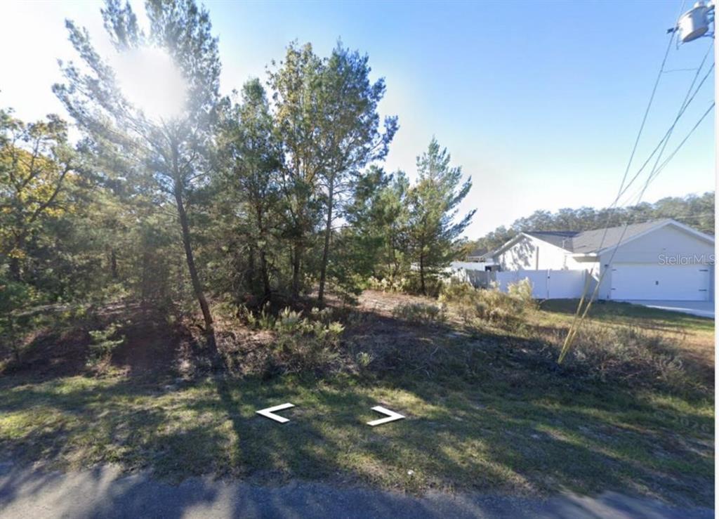 A vacant, wooded residential lot sits next to a house with a white garage — 22 FISHER RUN LANE, OCKLAWAHA, FL