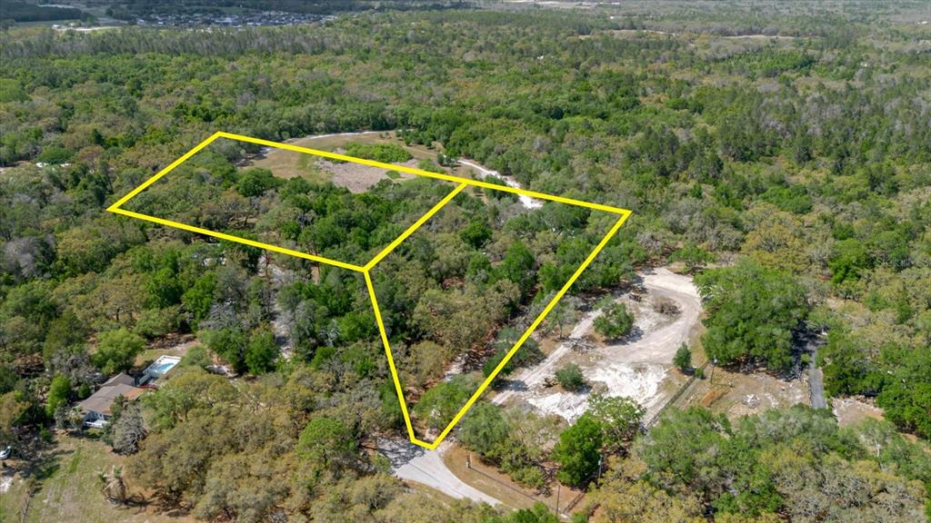 An aerial view shows a wooded plot of land outlined in yellow near a road — 12531 LITTLE PETE COURT, HUDSON, FL