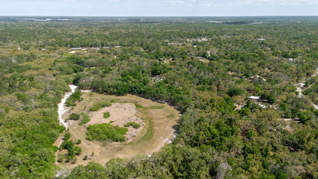 An aerial view shows a large, grassy clearing surrounded by dense forest and scattered trees — 12531 LITTLE PETE COURT, HUDSON, FL