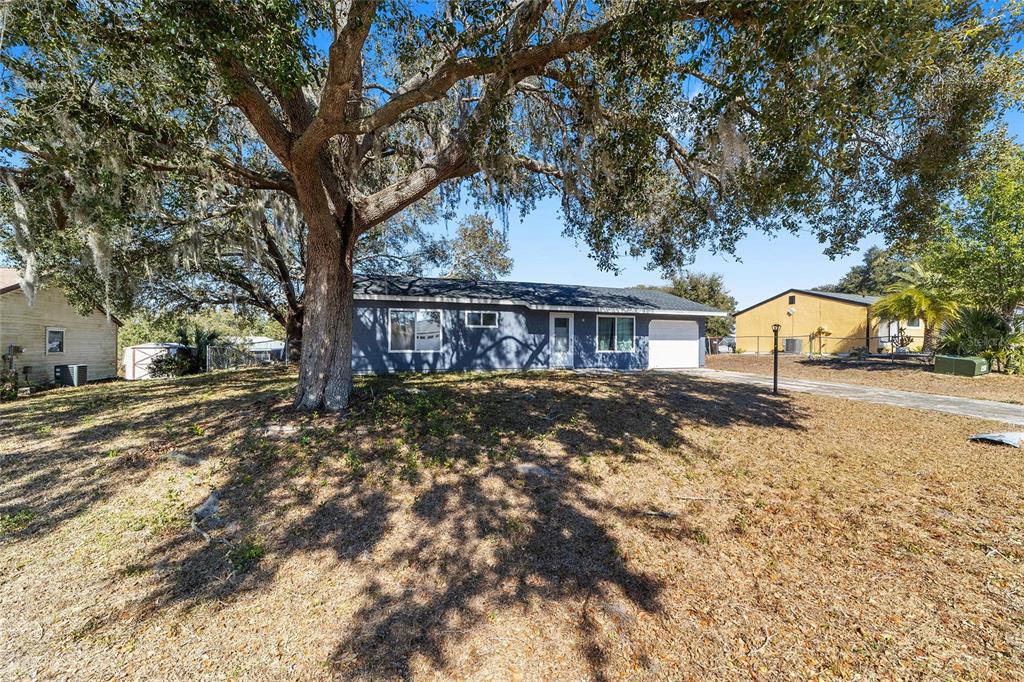 A single-story blue house with a garage sits behind a large tree on a lot — 6 HICKORY TRACK PASS, OCALA, FL