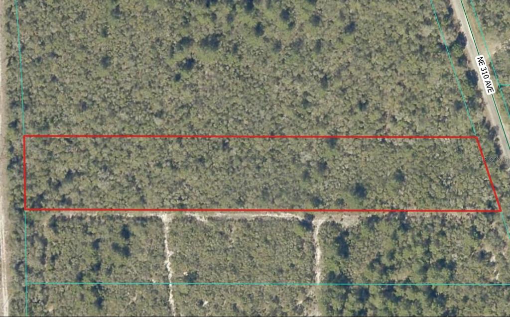 This is an aerial map view of a rectangular, wooded plot of land — NE 310TH AVENUE, FORT MC COY, FL