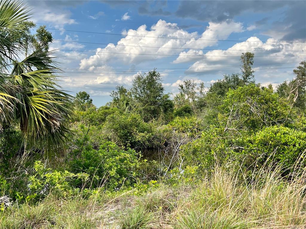 A view of a dense, overgrown natural landscape with a small pond and power lines — 27430 SAN MARCO DRIVE, PUNTA GORDA, FL