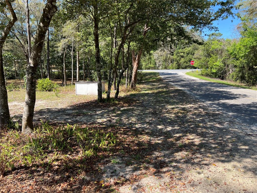 A dirt road runs alongside a wooded lot with a small white shed — 15926 NE 13TH STREET, WILLISTON, FL