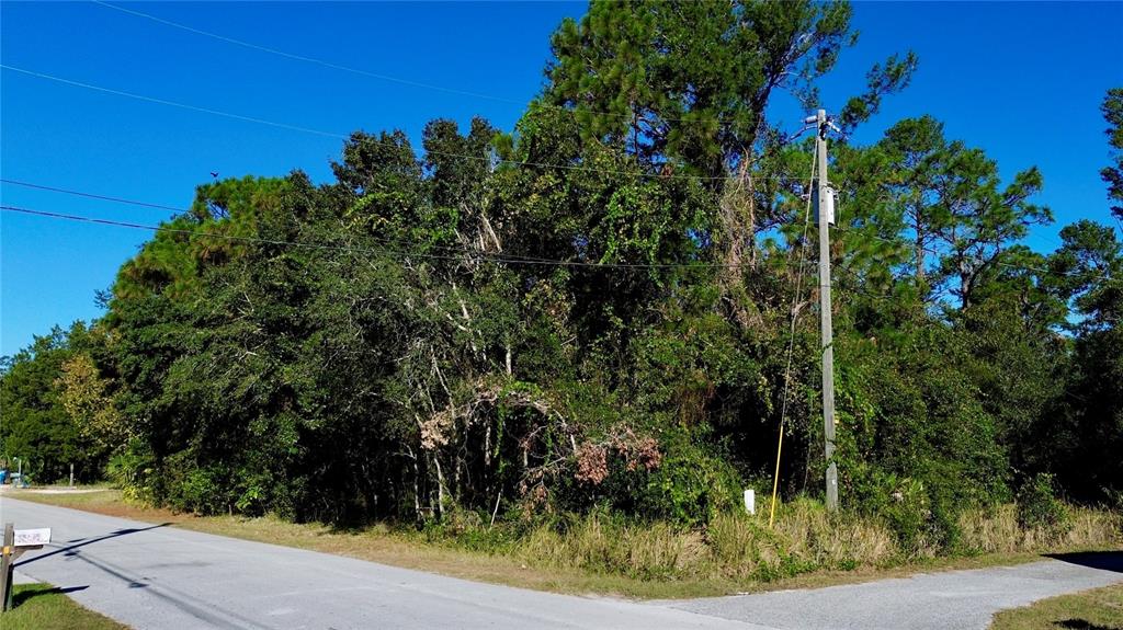 A view of a wooded, undeveloped corner lot with a utility pole along a paved road — 7049 CENTERWOOD AVENUE, SPRING HILL, FL