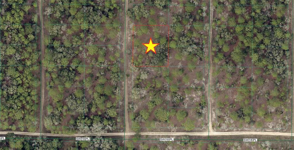 This is an aerial map view of a wooded residential lot marked with a star — TBD SW 154TH COURT, OCALA, FL