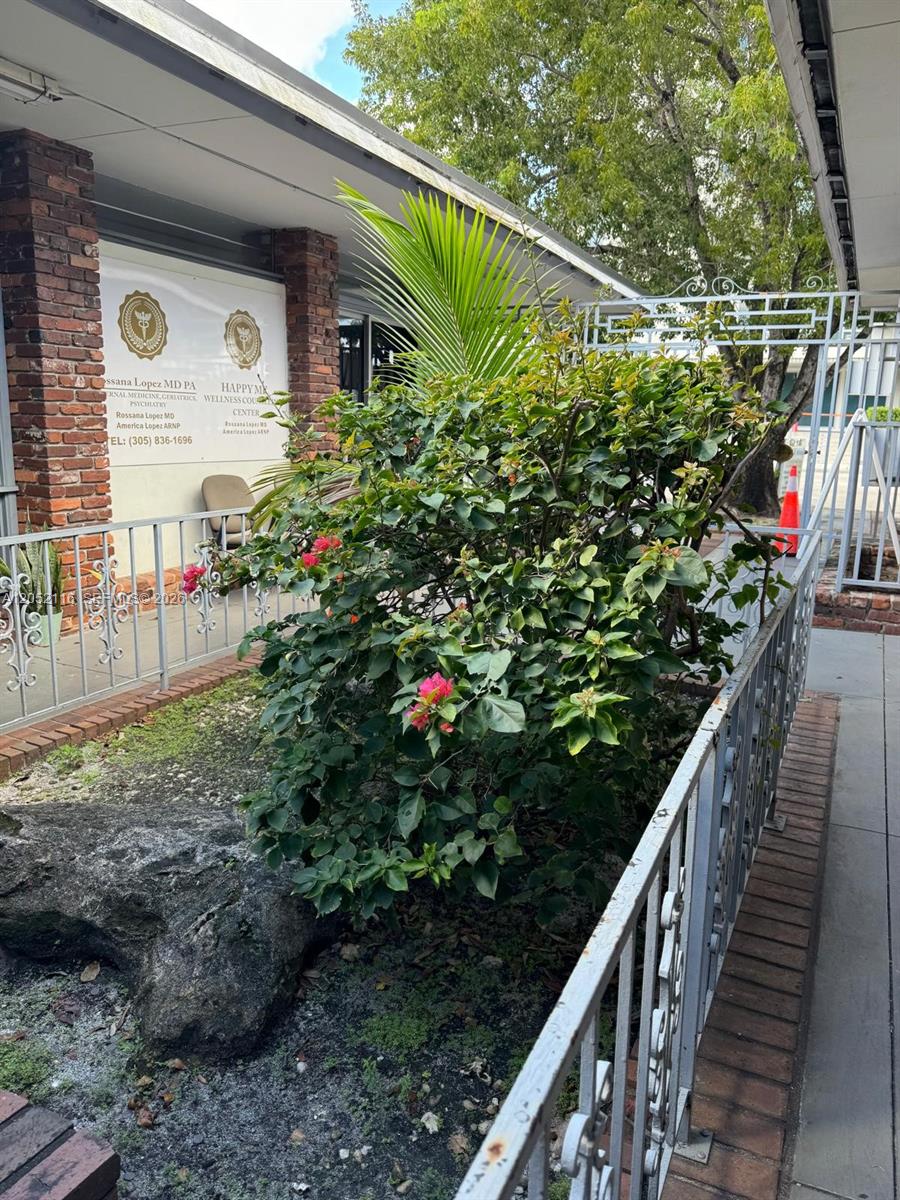 A large bougainvillea bush grows in a garden bed in front of a medical office building — 600 E 25th St, Hialeah FL 33013, HIALEAH, FL