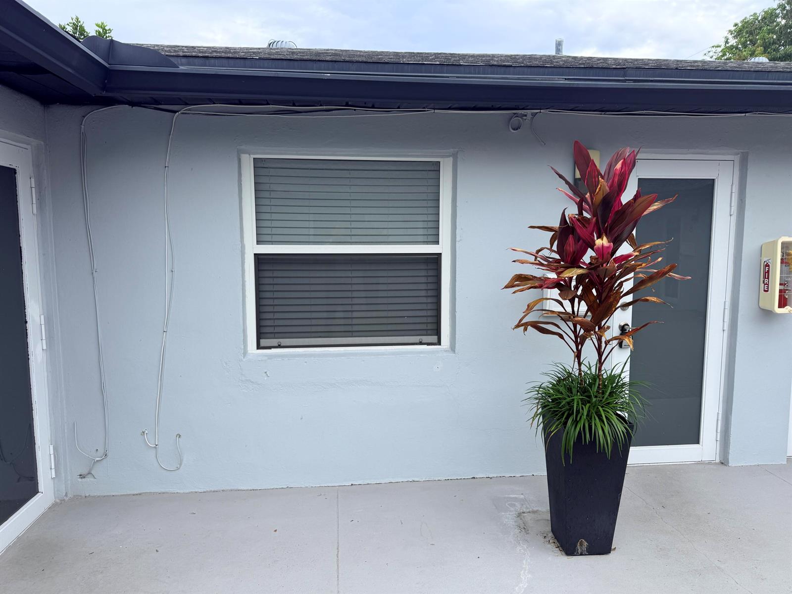 A light gray exterior wall features a central window, a potted plant, and two doors — 220 Walton Boulevard Unit 2, West Palm Beach FL 33405, WEST PALM BEACH, FL