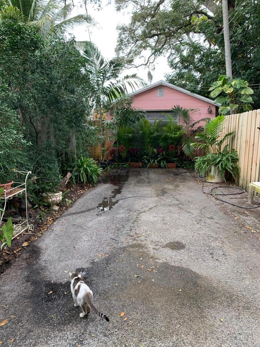 A cat walks on a paved driveway leading toward a small pink detached garage — LAKE WORTH, FL