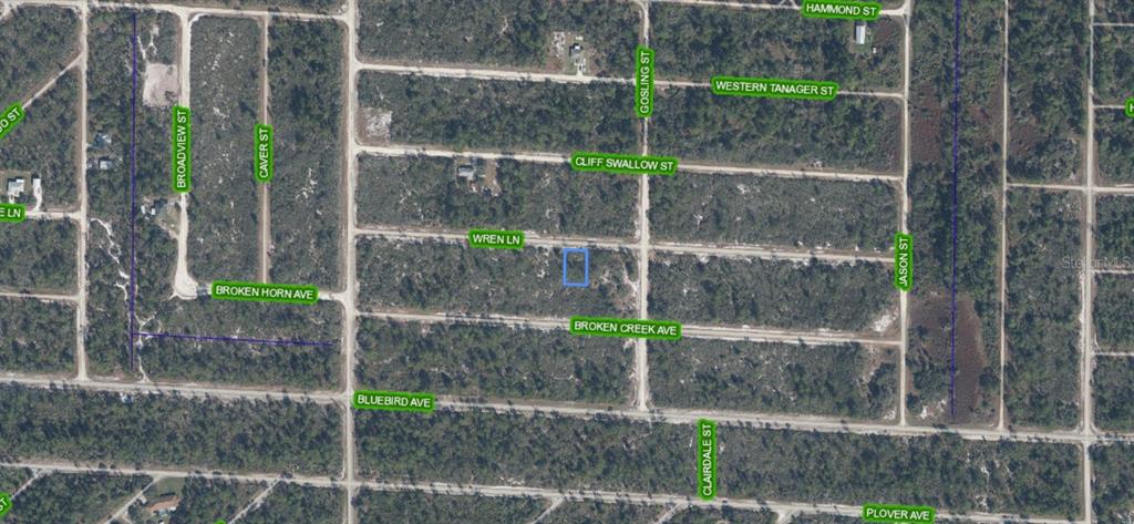 This is an aerial map showing a rectangular plot of land highlighted in blue — 3442 WREN LANE, LAKE PLACID, FL
