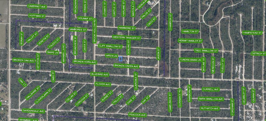 This is a satellite map showing a residential area with highlighted street names — 3442 WREN LANE, LAKE PLACID, FL