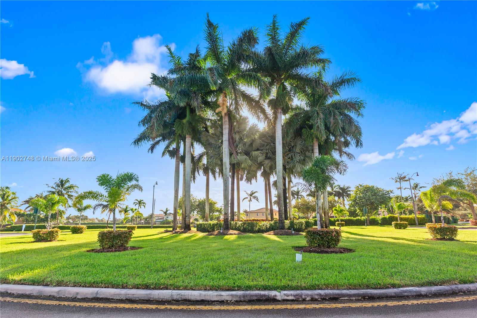 A cluster of tall palm trees stands in the center of a manicured grassy lawn — 1398 NE 33rd Ave # 25, Homestead FL 33033, HOMESTEAD, FL