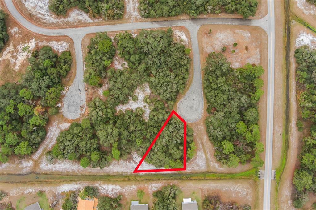 1209 VERNON WAY, KISSIMMEE, FL — photo 3 of 8