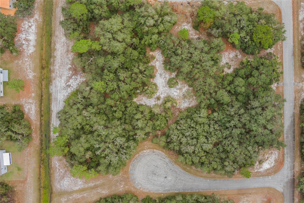1209 VERNON WAY, KISSIMMEE, FL — photo 4 of 8