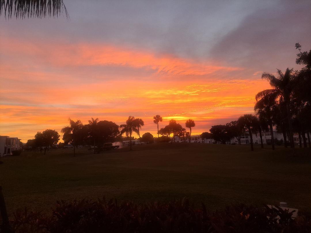 A vibrant orange and purple sunset glows over a grassy field with silhouetted palm trees — 2851 E Golf Boulevard # 207, Pompano Beach FL 33064, POMPANO BEACH, FL